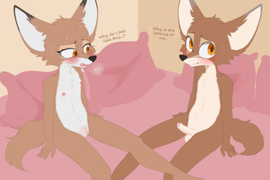 anthro areola aroused balls biped black_markings black_nose blush bodily_fluids breasts brown_body brown_eyes clitoris countershade_face countershade_torso countershading cute_fangs dialogue dipstick_ears duo ear_markings erection fangs female foreskin genitals glans humanoid_genitalia humanoid_penis inside looking_at_another looking_away male male/female markings multicolored_ears nervous nipples nude open_mouth penis pillow sitting small_breasts sweat teeth text tongue vulva white_body white_countershading young young_anthro young_female young_male young_on_young asue canid canine canis coyote mammal 2025 3:2 english_text hi_res