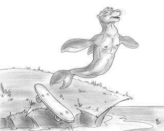 eyes_closed feral male nipples open_mouth outside skateboard solo swimming tuft vehicle water whiskers flinters taft_(northern-crosshair) aquatic cetacean dolphin hybrid mammal pinniped seal toothed_whale 2026 hi_res