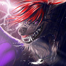 black_body black_fur black_lips black_nose fur hair lips open_mouth purple_eyes red_hair solo teeth tongue wolfroad canid canine mammal 1:1 2015 digital_media_(artwork) headshot_portrait icon portrait
