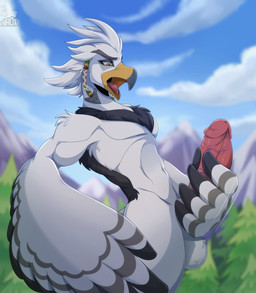 5_fingers balls beak big_penis cloud fingers forest genitals male masturbation moan open_mouth penile penile_masturbation penis plant sky solo tree conditional_dnp xnirox breath_of_the_wild nintendo the_legend_of_zelda teba_(tloz) avian bird rito 2021 hi_res