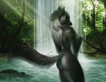 anthro black_body black_fur breasts butt day detailed_background female fur grey_hair hair nude outdoor_nudity outside solo water waterfall safiru mythology eleniel canid canine canis mammal mythological_canine mythological_creature werecanid werecanine werecreature werewolf wolf 2018 digital_media_(artwork) distracting_watermark watermark