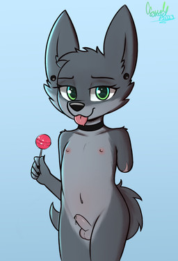 amputee anthro balls biped black_claws blue_background bodily_fluids candy claws dessert disability ear_piercing ear_ring food foreskin fur genital_fluids genitals green_eyes grey_body grey_fur lollipop looking_at_viewer male missing_arm penis piercing precum ring_piercing simple_background solo tongue tongue_out young young_anthro ccruelangel canid canine canis mammal wolf 2023 absurd_res digital_drawing_(artwork) digital_media_(artwork) hi_res signature unavailable_at_source trans_(lore) trans_woman_(lore)
