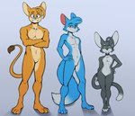 anthro biped black_body black_fur blue_body blue_eyes blue_fur blue_tail featureless_crotch femboy fur green_eyes grey_body grey_fur group looking_at_viewer male multicolored_body multicolored_fur nude orange_body orange_fur shadow simple_background standing tail trio jay-r jay-r_(character) leo_(jay-r) page_(jay-r) canid canine felid fennec_fox fox lion mammal pantherine true_fox hi_res