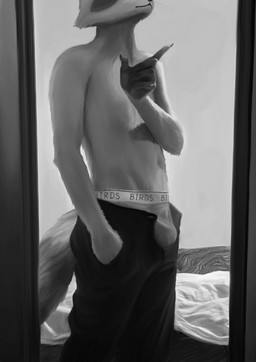 5_fingers anthro athletic athletic_anthro athletic_male bed bottomwear bulge clothed clothing fingers furniture gesture hand_gesture hand_in_pocket male mirror navel open_bottomwear open_clothing open_pants pants pockets pointing shirtless solo standing text topless underwear whiskers birdynsfw mammal procyonid raccoon english_text greyscale hi_res monochrome