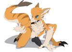 anthro balls erection fur genitals male orange_body orange_fur penis piercing pose solo tongue luuriolu blin_(overgrown_lizards) mammal praimortis absurd_res hi_res