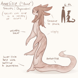 2_fingers 4_ears 6_arms annelisse_(tateoftot) antennae_(anatomy) black_eyes featureless_chest female fingers hair long_body long_hair long_tail markings multi_arm multi_ear multi_limb nude onycaudari pink_body pink_hair pink_skin solo spots spotted_body spotted_skin standing tail text tateoftot alien hi_res model_sheet