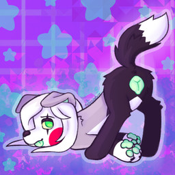 animal_genitalia animal_vulva anus ass_up butt canine_genitalia canine_vulva female feral fur genitals gradient_background green_eyes hair looking_at_viewer multicolored_body multicolored_fur pawpads paws presenting presenting_vulva purple_body purple_fur simple_background smile smiling_at_viewer solo tail teasing teasing_viewer tongue tongue_out vulva white_body white_fur white_hair relishcatpie canid canine canis domestic_dog mammal 1:1 trans_(lore) trans_man_(lore)
