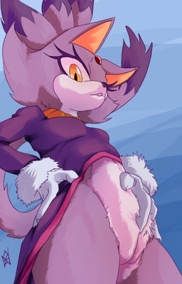 anthro bedroom_eyes bite biting_lip biting_own_lip bottomless bottomless_anthro bottomless_female clothed clothing coat female gem genitals gloves half-closed_eyes hand_on_crotch hand_on_hip handwear innie_vulva jewelry looking_at_viewer low-angle_view narrowed_eyes necklace pose presenting presenting_vulva raised_tail seductive self_bite smile smiling_at_viewer solo tail topwear vulva nahadon sega sonic_the_hedgehog_(series) blaze_the_cat domestic_cat felid feline felis mammal pinup