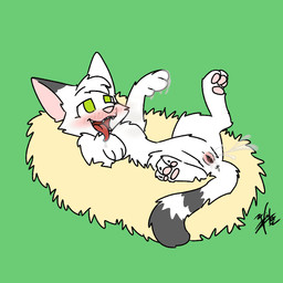 blush domini female feral forest happy intimacy orgasm plant shy solo toony tree white_body vickttor93 chronicles_of_a_forest domini_cat domestic_cat felid feline felis mammal 1:1