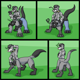 absorption_vore anthro black_body black_fur bodily_fluids bottomless check_mark clothed clothing confusion drooling duo exclamation_point fur grey_body grey_fur hand_behind_head leg_markings looking_back male markings merging question_mark saliva shirt shirt_only simple_background socks_(marking) tail topwear topwear_only torn_clothing transformation vore samweasel mammal mustelid musteline otter river_otter taur true_musteline weasel 1:1 comic sequence