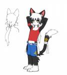 anthro barefoot biped bottomwear clothed clothing feet front_view hair hands_behind_head male midriff navel ponytail pose rear_view shirt shorts solo tank_top topwear whiteleo kay_(whiteleo) domestic_cat felid feline felis mammal hi_res