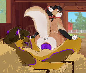 animal_genitalia animal_penis anthro big_butt blush bodily_fluids brown_body brown_fur butt canine_genitalia clothing cowboy_hat cowgirl_position duo erection farm from_front_position fur genital_fluids genitals hair hat hay hay_bale headgear headwear huge_butt kerchief knot knotted_penis looking_back male male/male male_penetrating nude on_bottom on_top open_mouth penetration penis raised_tail sex tail white_body white_fur seibear vex_(vexfloof) canid canine canis domestic_dog fox german_shepherd herding_dog mammal pastoral_dog absurd_res digital_media_(artwork) hi_res