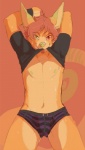 abstract_background anthro arms_above_head bodily_fluids briefs bulge clothed clothing clothing_lift front_view fur green_eyes green_nose hair heterochromia male mouth_hold nipples orange_body orange_fur pattern_clothing pattern_underwear pink_hair pupils red_eyes shirt shirt_lift short_hair simple_background slit_pupils smile solo striped_clothing striped_underwear stripes sweat t-shirt topwear underwear aycee ac_(aycee) felid hybrid mammal portrait three-quarter_portrait