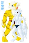 abs age_difference akino-kamihara anthro arcanine athletic athletic_male brother_(lore) brothers_(lore) bulge clothed clothing duo featureless_chest generation_1_pokemon gintsuki_higari_(akino-kamihara) hair japanese_text kagerou_higari_(akino-kamihara) male muscular muscular_male ninetales nintendo poke-high pokemon pokemon_(species) ponytail shiny_pokemon sibling_(lore) simple_background speedo speedo_only swimwear text topless