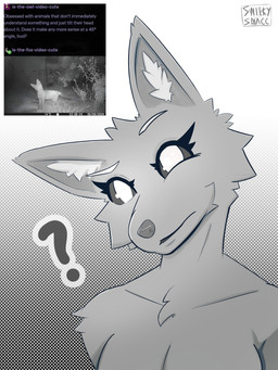 anthro female grey_body text snilkysnacc canid canine fox mammal 3:4 absurd_res english_text hi_res meme