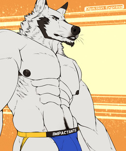 abs anthro armpit_hair beard black_body black_fur black_nipples black_nose blue_clothing blue_jockstrap blue_underwear body_hair clothed clothing ear_piercing facial_hair facial_tuft fur jockstrap jockstrap_only looking_aside looking_at_viewer low-angle_view male multicolored_body multicolored_fur muscular muscular_anthro muscular_male nipples orange_background partially_clothed pattern_background piercing simple_background solo text topless tuft underwear underwear_only whiskers white_body white_fur yellow_background depictionexpress alfonso_(depictionexpress) canid canine canis mammal wolf 5:6 hi_res spanish_text