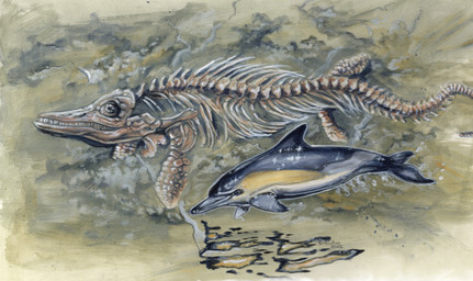 ambiguous_gender black_body black_eyes bone feral flukes grey_body skeleton swimming white_body yellow_body heather_bruton aquatic cetacean common_dolphin dolphin ichthyosaur mammal oceanic_dolphin prehistoric_species reptile scalie toothed_whale 2026 acrylic_painting_(artwork) colored_pencil_(artwork) painting_(artwork) traditional_media_(artwork) traditional_painting_(artwork)