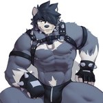 anthro belt_bondage black_hair bondage_gear bulge clothing fingerless_gloves fur gloves hair handwear looking_at_viewer male muscular muscular_anthro muscular_male nipple_piercing nipples piercing simple_background sitting solo zipper_underwear jrjresq marsh_(jrjresq) bear canid canine canis hybrid mammal wolf 1:1 2022 hi_res