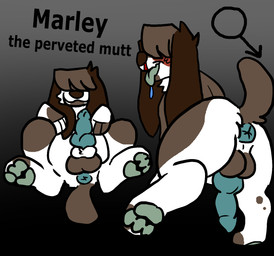 3_fingers 3_toes anus balls big_balls blood bodily_fluids digitigrade erection feet feral fingers genitals knot knotted_penis long_ears male nosebleed pawpads paws penis puffy_anus simple_background solo toes y0urd3sir3 marley_(y0urd3sir3) canid canine canis domestic_dog mammal hi_res
