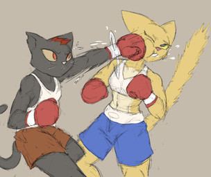 anthro boxing boxing_gloves boxing_shorts bra clothing duo face_punch female handwear punch simple_background sport sports_bra underwear chamma_retsuden microsoft night_in_the_woods prequel_adventure the_elder_scrolls katia_managan mae_borowski domestic_cat felid feline felis khajiit mammal hi_res