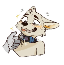 anthro bite blush bodily_fluids clothed clothing collar collar_pull disembodied_hand embarrassed male nervous nervous_smile simple_background solo sweat three-quarter_view tongue tongue_bite tongue_out topless white_background white_body kogawa_kenji canid canine canis mammal wolf headshot_portrait hi_res portrait