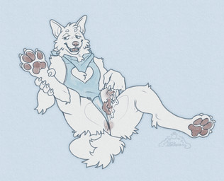 4_toes 5_fingers anatomically_correct anatomically_correct_genitalia anatomically_correct_penis anatomically_correct_vulva animal_genitalia animal_penis animal_vulva anthro anus aroused athletic biped blue_kerchief blue_latex bodily_fluids bodysuit butt canine_genitalia canine_penis canine_vulva claws clothed clothing curled_tail curved_tail digitigrade dripping erection feet finger_claws fingers flat_chested fluffy fluffy_tail fur genital_fluids genitals hand_on_leg hand_on_own_leg holding_leg holding_raised_leg intersex intersex_anthro kerchief latex latex_bodysuit latex_clothing latex_skinsuit leaking leaking_penis leaking_precum leaking_vagina lying maleherm maleherm_anthro monotone_anus monotone_genitals monotone_penis on_back on_ground one_leg_up open_mouth pawpads paws penis pink_anus pink_pawpads pink_tongue pink_vulva precum precum_drip precum_from_penis precum_in_pussy precum_on_own_penis precum_on_pussy precum_on_self presenting presenting_anus presenting_penis presenting_sheath presenting_vulva raised_leg sharp_teeth sheath simple_background skinsuit solo spread_legs spreading tail teeth three-quarter_view tight_clothing toe_claws toes tongue vulva felilune skylar_(character) canid canine canis domestic_dog husky hybrid mammal nordic_sled_dog spitz tervuren 2026 colored_sketch digital_drawing_(artwork) digital_media_(artwork) hi_res sketch nonbinary_(lore)