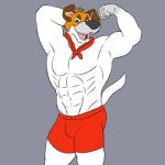 abs anthro anthrofied biceps clothing fur looking_at_viewer male muscular red_clothing simple_background smile solo white_body white_fur unknown_artist disney oliver_and_company dodger_(disney) canid canine canis domestic_dog hunting_dog jack_russell_terrier mammal terrier 1:1 low_res