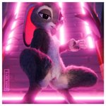 1:1 3d_(artwork) absurd_res anthro bedroom_eyes biped border breasts claws condom condom_in_mouth covered_nipples darkskye_(artist) digital_media_(artwork) digitigrade disney eyelashes female fluffy fur fur_texture genitals gesture grey_body grey_fur hand_gesture hi_res judy_hopps lagomorph leporid long_ears looking_at_viewer mammal mouth_hold narrowed_eyes nude object_in_mouth paws presenting presenting_pussy purple_eyes pussy rabbit seductive sexual_barrier_device solo spread_legs spreading thick_thighs v_sign white_body white_border white_fur zootopia