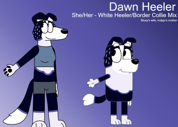 anthro black_body black_fur black_nose black_pawpads bottomwear clothed clothing crop_top female female_anthro fur pawpads purple_background purple_body purple_fur shirt shorts simple_background solo standing topwear white_body white_fur xyliminal bluey_(series) dawn_heeler_(xyliminal) fan_character australian_cattle_dog border_collie canid canine canis cattledog collie domestic_dog herding_dog mammal mixed_breed pastoral_dog sheepdog 2026 model_sheet trans_(lore) trans_woman_(lore)