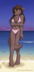 2009 anthro beach bikini biped blush brown_hair canid canine canis chest_tuft clothed clothing colored conditional_dnp detailed_background digital_media_(artwork) digitigrade embarrassed female fur hair heterochromia keidran long_hair mammal natani navel outside sand seaside sketchbook_(artwork) sky solo standing swimwear tail tom_fischbach tuft two-piece_swimsuit twokinds water wolf