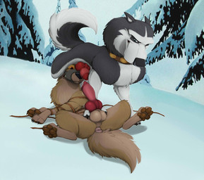 anatomically_correct anatomically_correct_genitalia anatomically_correct_penis animal_genitalia animal_penis anus balls bdsm black_nose bodily_fluids bound brown_pawpads butt canine_genitalia canine_penis claws collar collar_only duo erection feral feral_on_feral fur genital_fluids genitals knot lying male male/male multicolored_body multicolored_fur muzzle_(object) muzzled nude on_back pawpads paws penis penis_in_face precum quadruped red_penis restrained sex snow standing toe_claws two_tone_body two_tone_fur mcfan balto_(series) universal_studios balto steele_(balto) alaskan_malamute canid canine canis domestic_dog hybrid mammal nordic_sled_dog spitz wolf wolfdog hi_res
