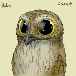 ambiguous_gender beak big_eyes brown_body brown_feathers feathers feral glistening gradient_background simple_background smile solo tan_body tan_feathers yellow_eyes bubonikku avian bird potoo 1:1 aliasing digital_media_(artwork)