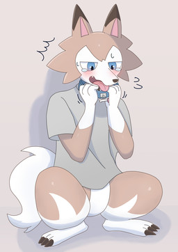 3_toes ambiguous_gender anthro biped black_nose blue_eyes bodily_fluids bone_collar_tag bottomless brown_ear_tips claw_toes clothed clothing collar collar_tag countershade_face countershade_torso countershading crouching dipstick_ears ear_markings featureless_crotch feet front_view gloves_(marking) holding_collar holding_object implied_transformation leg_markings looking_down_at_self markings motion_lines multicolored_ears open_mouth pawpads pink_inner_ear pink_pawpads shadow shirt simple_background socks_(marking) solo t-shirt tan_body tears toes tongue tongue_out topwear white_body white_countershading white_markings wide_crotch root_doggie nintendo pokemon generation_7_pokemon lycanroc pokemon_(species) 2023 colored hi_res japanese_description