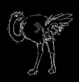 ambiguous_gender beak claws cloacal cloacal_penetration disembodied_penis duo feathers feral genitals humanoid_genitalia humanoid_penis male male/ambiguous penetration penis rictal_bristles tail tail_feathers wings einin avian bird ostrich ratite 2026