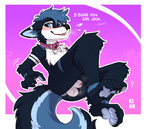 anthro anus balls blue_body blue_eyes blue_fur blue_hair blush bodily_fluids collar feet flustered foot_focus fur genital_fluids genitals hair leaking_precum lying male multicolored_body multicolored_fur pawpads paws penis penis_tip precum shy solo speech_bubble fenneckiro vikohusky canid canine canis domestic_dog husky mammal nordic_sled_dog spitz absurd_res hi_res