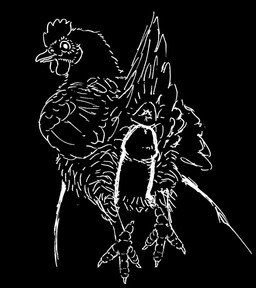 animal_genitalia beak bestiality black_background claws cloaca duo feathers female feral genitals human_on_feral humanoid_genitalia humanoid_penis interspecies male male/female penis sex simple_background tail einin avian bird chicken galliform human mammal phasianid 2026 black_and_white monochrome