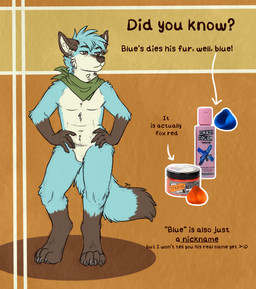 4_toes 5_fingers anthro black_nose blue_body blue_fur dye dyed_fur featureless_crotch feet fingers fur fur_dye gloves_(marking) hindpaw humanoid_hands kerchief kerchief_only leg_markings male markings mostly_nude mostly_nude_anthro mostly_nude_male multicolored_body multicolored_fur neckerchief neckerchief_only neckwear paws socks_(marking) solo standing tail text toes two_tone_body two_tone_fur white_body white_fur kantachibli blue_(kantachibli) canid canine fox mammal english_text hi_res translated