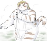 anthro belly big_belly blush bulge humanoid_hands kemono male moobs nipples overweight overweight_male solo towel water white_body ptcmtr lifewonders tokyo_afterschool_summoners licho_(tas) felid mammal pantherine tiger 2024 hi_res