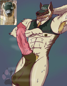 animal_genitalia animal_penis anthro balls big_balls big_penis bodily_fluids breasts clothed clothing erection fur genitals hair hat headgear headwear huge_balls huge_penis male muscular muscular_anthro muscular_male musk musky_balls musky_penis nipples penis presenting_balls saggy_balls simple_background smile solo sweat sweatdrop sweaty_balls sweaty_breasts sweaty_genitalia sweaty_legs lobo_guarana canid canine hyena mammal spotted_hyena digital_media_(artwork)