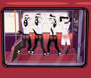 aged_up amputee anthro anthrofied backsack balls black_spots bus butt chain_necklace clenched_teeth collar commercial_vehicle dialogue disability exhibitionism feet flaccid foreskin fur genitals group hands_behind_head humanoid_genitalia humanoid_penis jewelry kneeling looking_back male markings missing_all_legs necklace necklace_only nude panis partially_retracted_foreskin pawpads penis prosthetic prosthetic_leg prosthetic_limb public public_nudity rear_view slap_mark spanked_butt spots spotted_body tail teeth text toes vehicle white_body white_fur window dal101strefan 101_dalmatian_street 101_dalmatians disney dimitri_1_(101_dalmatians) dimitri_2_(101_dalmatians) dimitri_3_(101_dalmatians) dimitri_trio_(101_dalmatians) canid canine canis dalmatian domestic_dog mammal digital_media_(artwork) english_text hi_res brother_(lore) brothers_(lore) sibling_(lore) triplets_(lore)