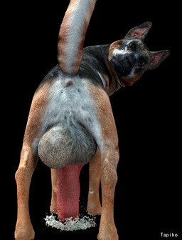 animal_genitalia animal_penis anus balls big_penis bodily_fluids canine_genitalia canine_penis erection excessive_genital_fluids excessive_precum feral fur genital_fluids genitals huge_penis hyper hyper_genitalia hyper_penis leaking looking_at_viewer male nude penis precum realistic_feral solo surprised vein veiny_penis tapiko canid canine canis domestic_dog german_shepherd herding_dog mammal pastoral_dog 3d_(artwork) digital_media_(artwork)