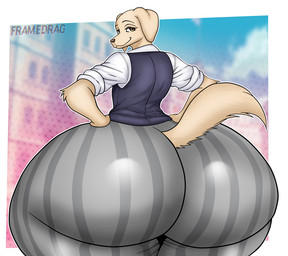 anthro big_butt bottomwear bubble_butt butt clothing huge_butt huge_hips huge_thighs hyper hyper_butt hyper_hips hyper_thighs looking_at_viewer looking_back male pants shirt smile solo tan_body thick_thighs topwear vest wide_hips yellow_eyes framedrag beastars jack_(beastars) bird_dog canid canine canis domestic_dog hunting_dog labrador mammal retriever