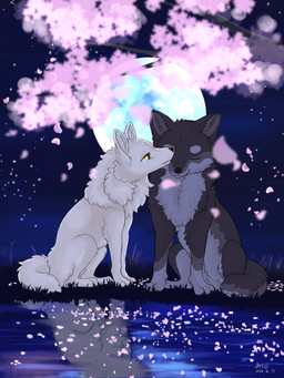 ambiguous_gender black_body black_fur black_nose cheek_tuft cherry_blossom countershading detailed_background duo eyes_closed facial_tuft feet feral flower fluffy fruit_tree full_moon fur grass grey_body grey_fur inner_ear_fluff monotone_body monotone_fur moon multicolored_body multicolored_fur multicolored_tail night outside paws plant prunus_(flower) quadruped sitting sky star starry_sky tail toes tree tuft two_tone_body two_tone_fur water white_body white_fur white_tail yellow_eyes fusau canid canine canis mammal wolf 2024 dated detailed digital_media_(artwork) hi_res signature