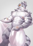 abs anthro countershading looking_at_viewer male muscular muscular_anthro muscular_male nipples pecs scar solo whiskers rsotart cygames world_flipper nimbus_(world_flipper) felid mammal pantherine tiger hi_res