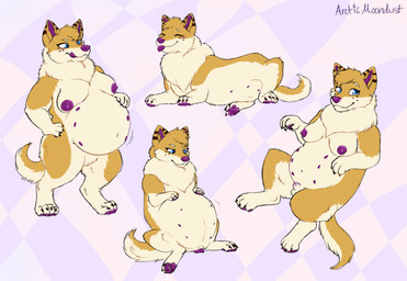 animal_genitalia animal_penis animal_vulva anthro belly big_breasts breasts canine_genitalia canine_penis canine_vulva female feral genitals herm inflated_belly intersex nude overweight penis sheath slightly_chubby solo vore vulva arcticmoondust canid canine canis domestic_dog herding_dog mammal pastoral_dog welsh_corgi hi_res