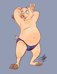 anthro biped clothing male slightly_chubby slightly_chubby_male solo speedo stretching swimwear underwear aerosaur83 basil_(urbansaint) domestic_pig mammal suid suina sus_(pig) 2021 absurd_res digital_media_(artwork) hi_res