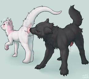 black_body black_nose black_piercing cheek_piercing duo ear_piercing facial_piercing female feral fur male nose_piercing piercing pink_body pink_fur red_eyes scent scent_play sniffing white_body white_fur tametama tama_(tametama) canid canine canis dinosaur felid feline mammal prehistoric_species reptile scalie wolf absurd_res hi_res