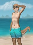 anthro beach blue_clothing blue_eyes blue_swimwear blush breasts brown_body brown_fur brown_nose casual_exposure clothed clothing cloud countershade_fur countershading crossdressing eyebrows eyewear female flat_chested fur hand_behind_head multicolored_body multicolored_fur navel nipples outside seaside small_breasts smile solo sunglasses swimming_trunks swimwear tan_body tan_fur tomboy topless two_tone_body two_tone_fur water eddiew male_swimwear_challenge akima_(eddiew) mammal mustelid otter 2020 3:4 hi_res signature female_(lore)