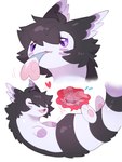 ambiguous_gender belly black_body black_fur duo fangs feral fur lying on_back solo_focus swallowing teeth vore tianhua nintendo pokemon ah_xin_(zhang_gun) xiaohen_(zhang_gun) furret generation_2_pokemon pokemon_(species) 3:4 hi_res