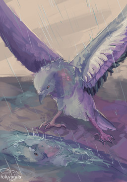 ambiguous_gender beak claws feathered_wings feathers feet feral fur grey_body grey_feathers grey_fur no_sclera raining solo talons toes white_claws wings yellow_eyes hollyvardia avian bird columbid pigeon hi_res